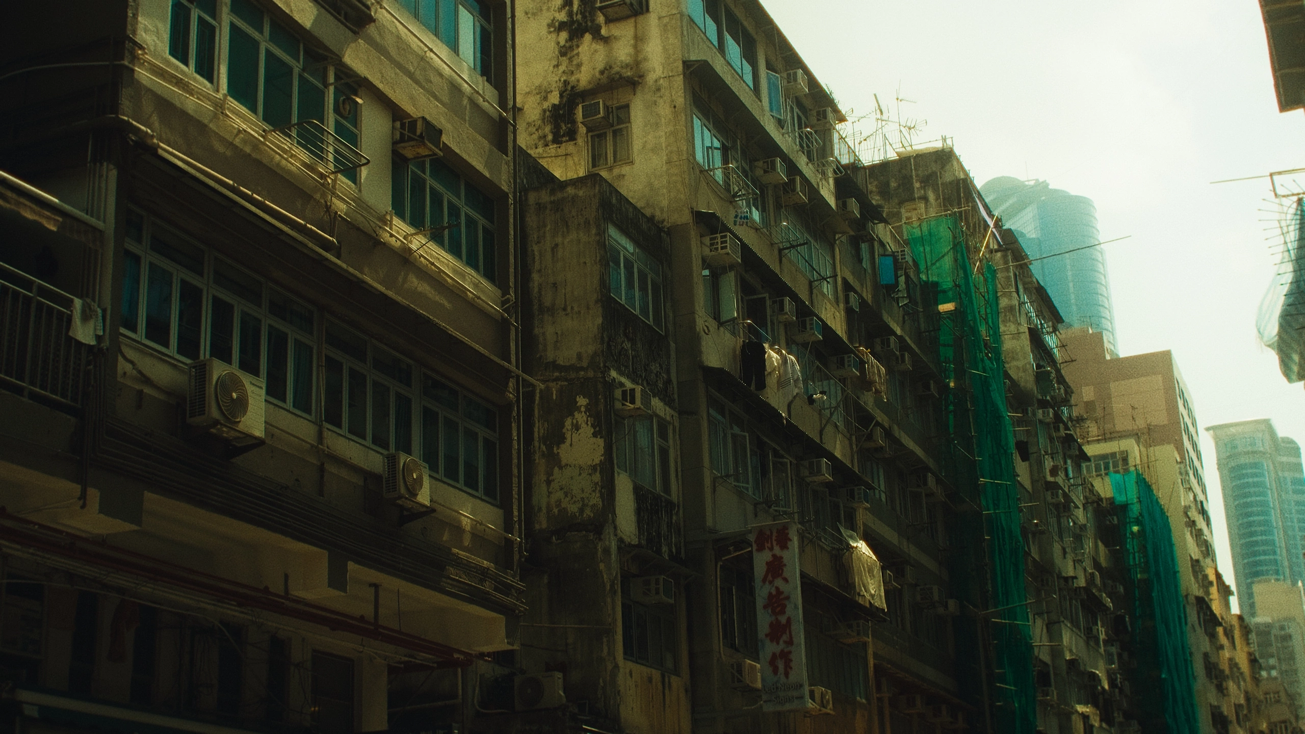 Grid image 29